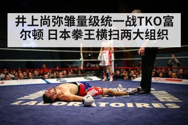 井上尚弥雏量级统一战TKO富尔顿 日本拳王横扫两大组织