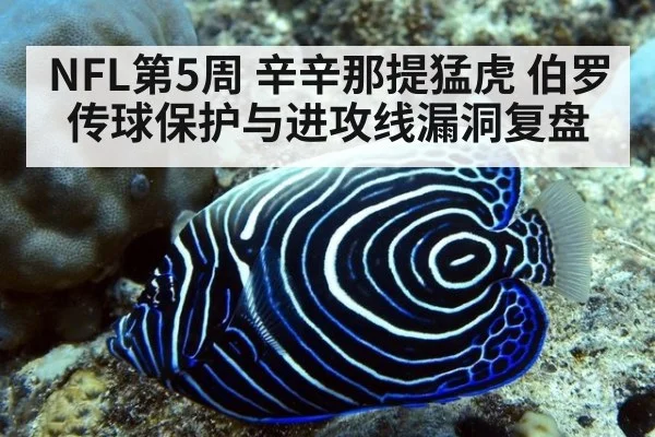 NFL第5周 辛辛那提猛虎 伯罗传球保护与进攻线漏洞复盘